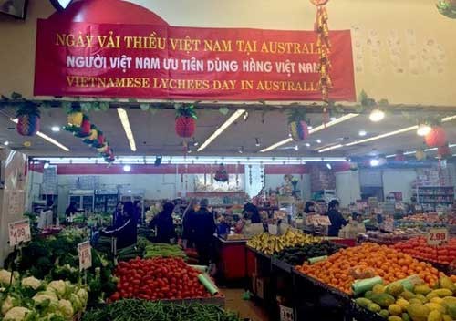 Vietnamese lychees much sought after in Australia - ảnh 1